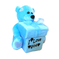 Plush Boxed Teddy Bear Blue