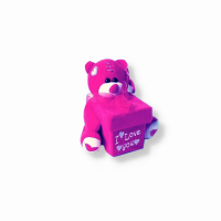 Plush Boxed Teddy Bear Pink