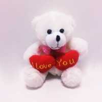 Cute Two-Hearted Plush Teddy Bear Small 20 cm