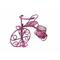 Bicycle With Wire Basket Fuchia P10-300