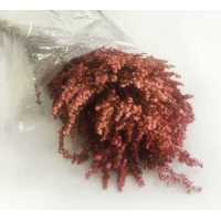 Flower Natural Solidego Red Pk:100Gr Kl:216