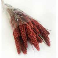 Flower Natural Steria Beads Red Pk:100 Gram Kl:216