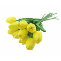 Flower Wet Tulip Yellow Pk:10 Kl:48