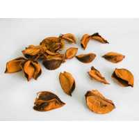 Rose Leaf Natural Scented Orange Pk:1(1000Gr) Kl:20