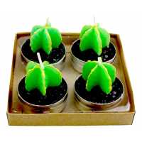 Wax Cactus Leaf Pk:4 Kl:144