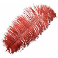 Red Feather For Organization