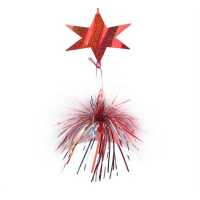 Ornamental Hologram Star 5 Piece Fringed P10-500