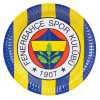 TABAK FENERBAHÇE 23cm PK:8 KL:48