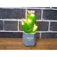 Wholesale 3D Cactus Lamp