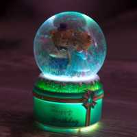 Wholesale Lighted Musical Teddy Bear Snow Globe