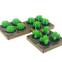 Wholesale Cactus Candle Set 4 Pieces Mix with Box