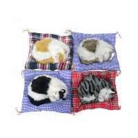 Wholesale Mattress Sleeping Cat Toy