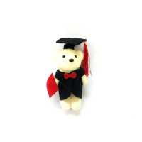 Wholesale Styrofoam Graduation Themed Bear