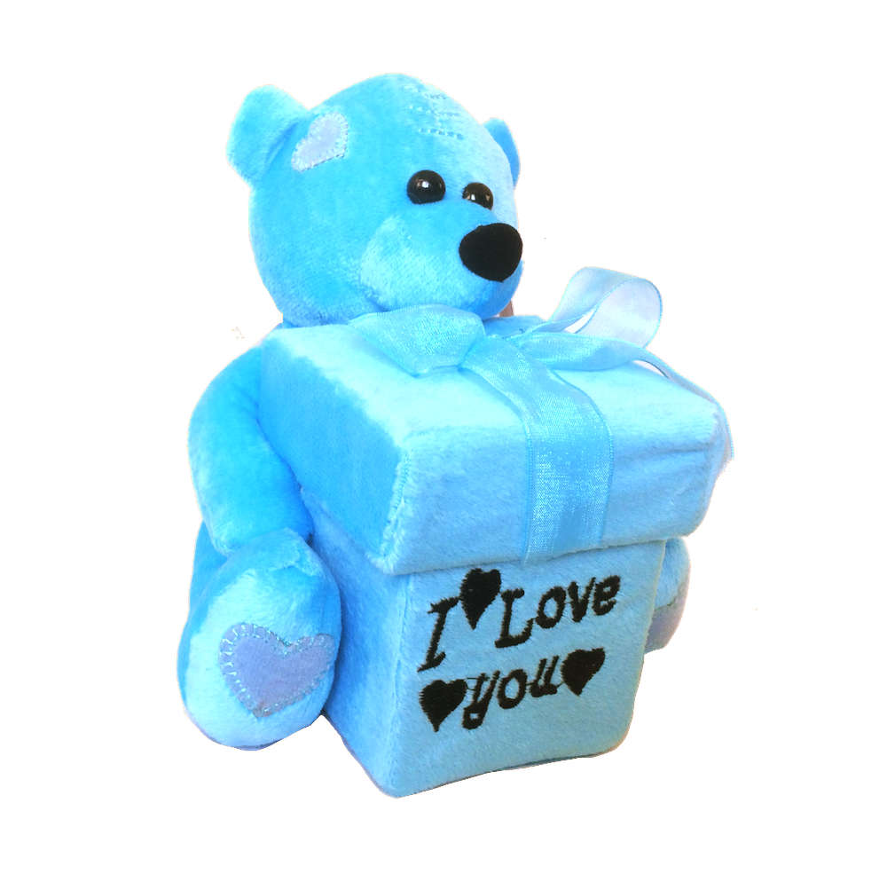 Plush Boxed Teddy Bear Blue