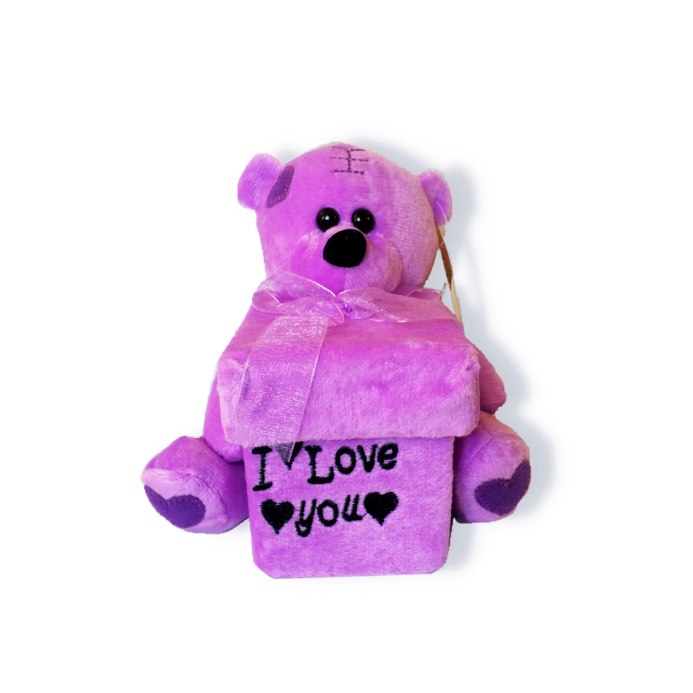 Plush Boxed Teddy Bear Purple