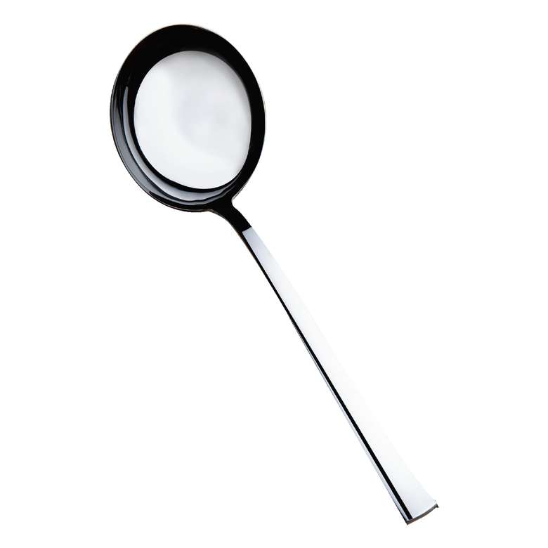 Ladle