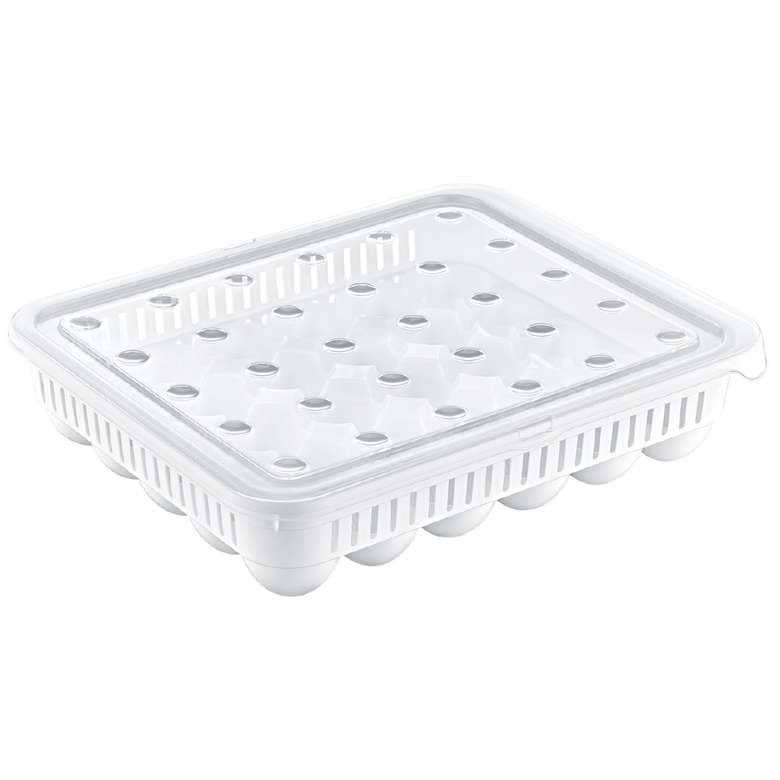 Hobbylife Plastic 30 Pcs Egg Storage Container