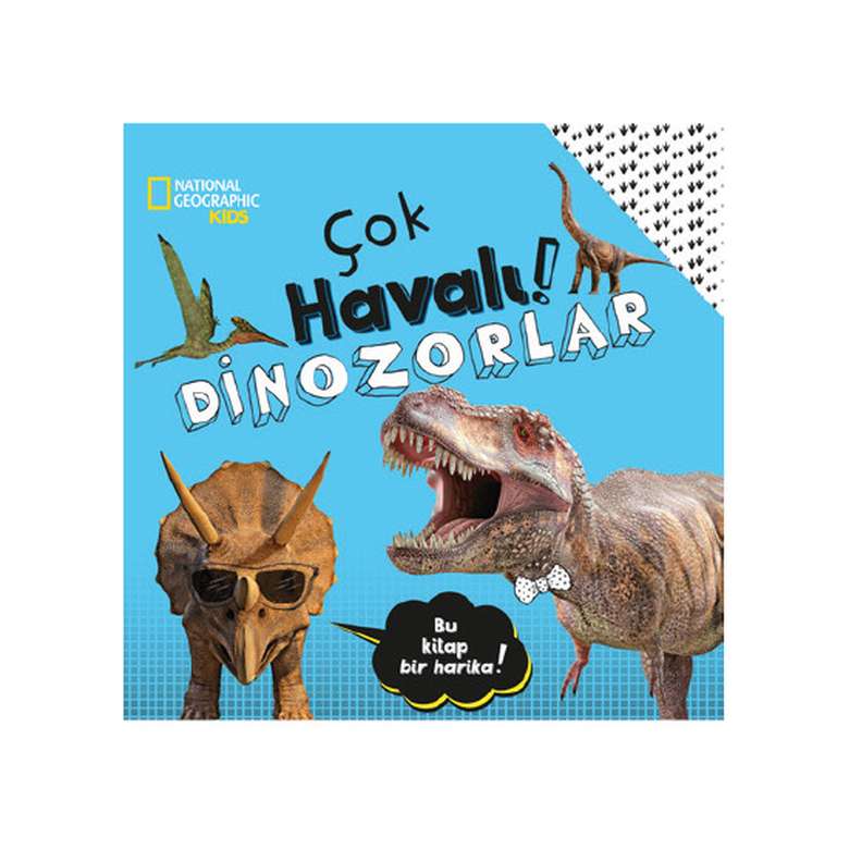 Ng Kids Very Cool Dinosaurs Children's Book