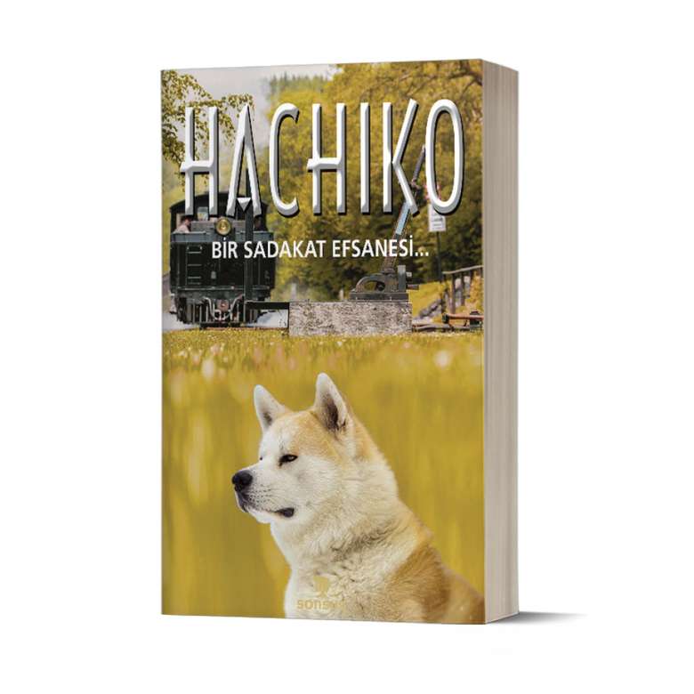 Sadako And Hachiko Books Hachiko