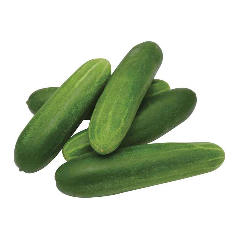 Cucumber Çengelköy Package - 750 G