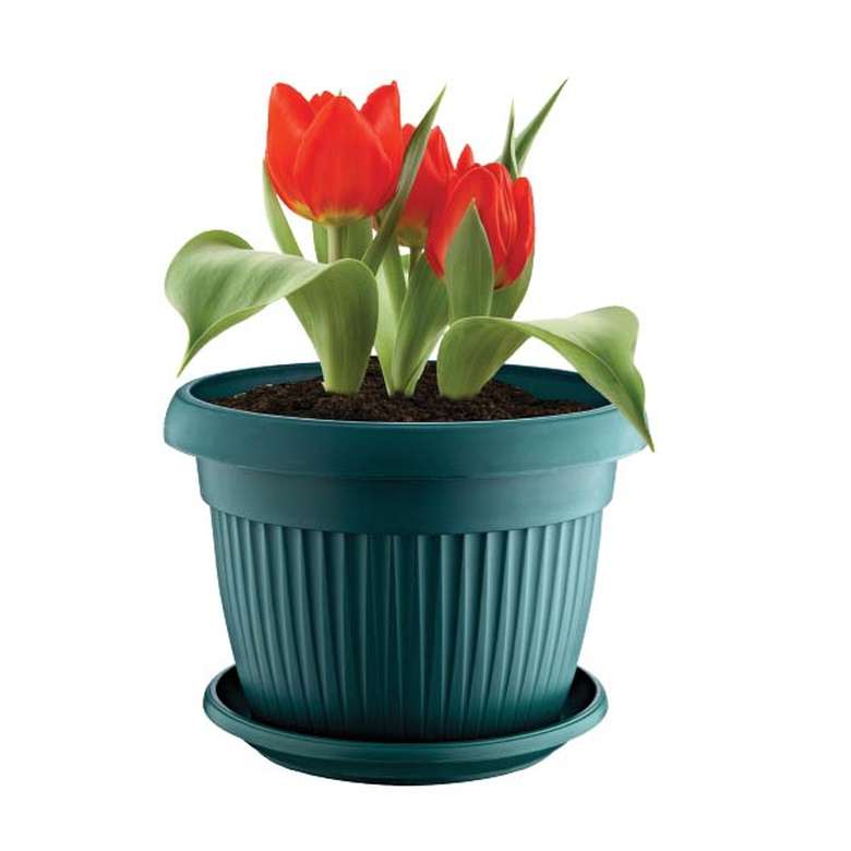 Round Flower Pot