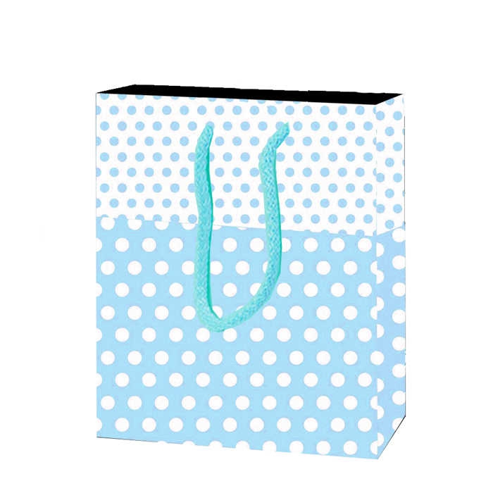 Bag Carton Small Size Blue Point 12X17 P25-20