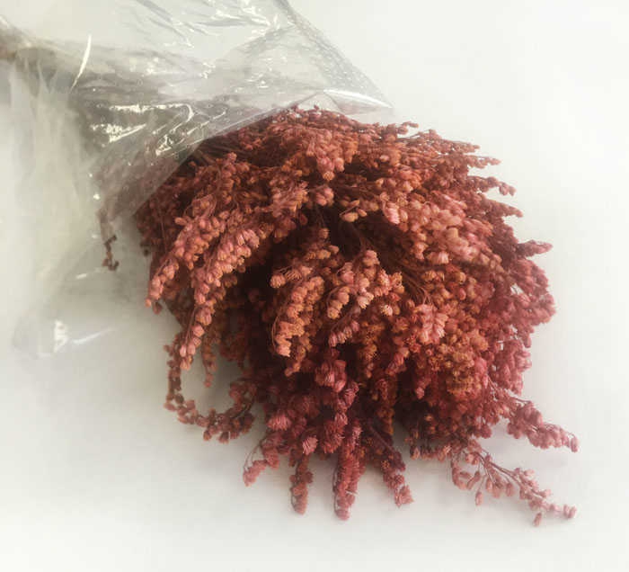 Flower Natural Solidego Red Pk:100Gr Kl:216