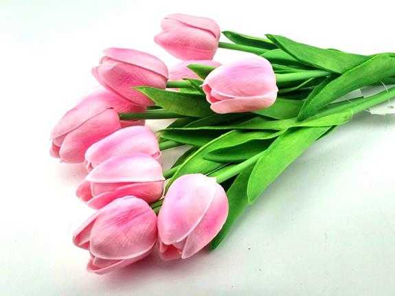 Flower Wet Tulip Pink Pk:10 Kl:48