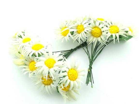 Flower Daisy Cream Pk:100 Kl:100