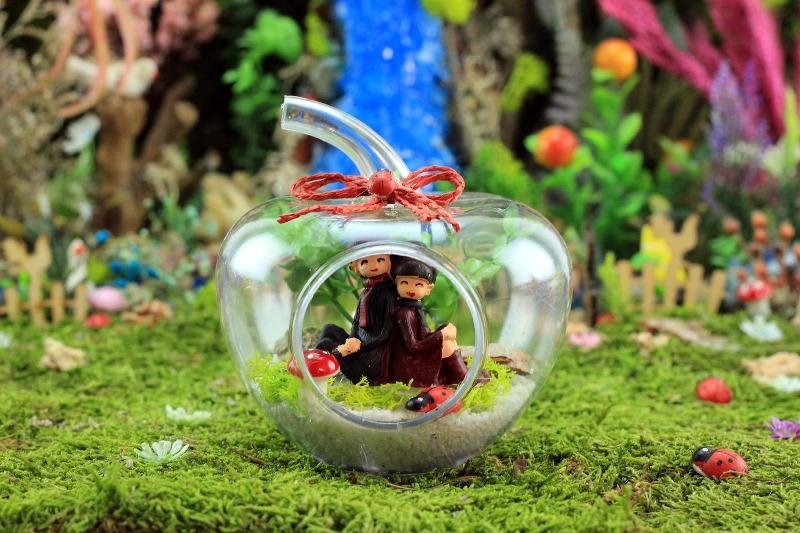 Apple Shaped Terrarium Fanus