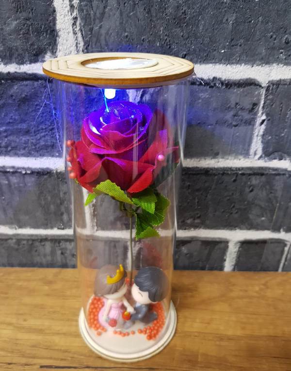 Lover Themed Lamp with Led Light