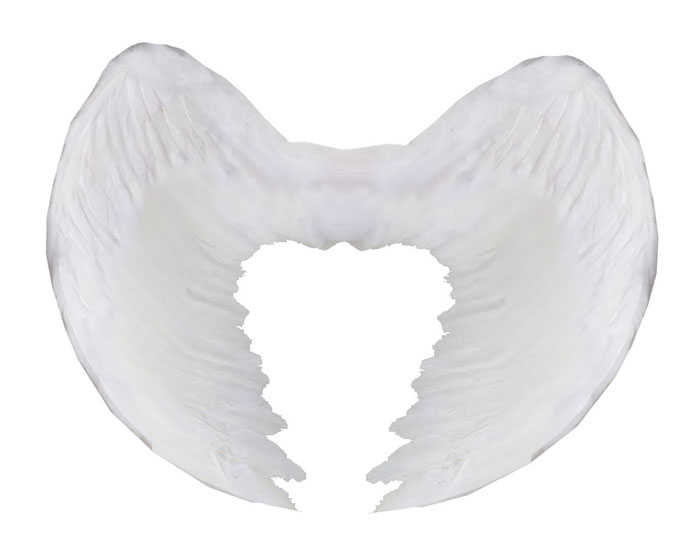 Angel Wing Bigger Than Feather 90X70Cm White Pk:1 Kl:30