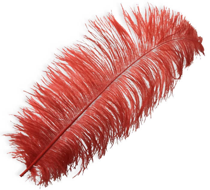 Red Feather For Organization