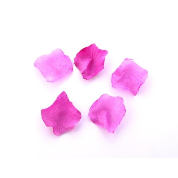 Wholesale Opened Scatter Colored Rose Petals 144 pcs