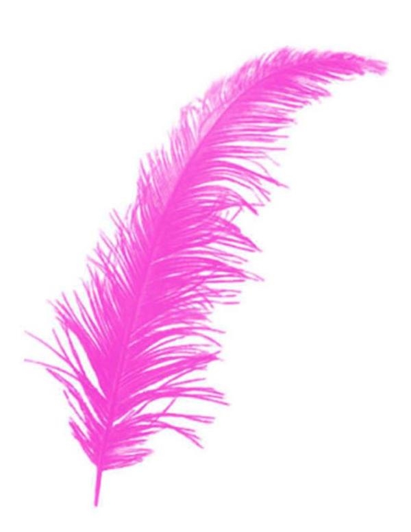 Wholesale Baby and Wedding Candy Ornament Material Colorful Feather 100 pcs