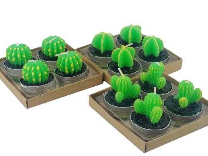 Wholesale Cactus Candle Set 4 Pieces Mix with Box