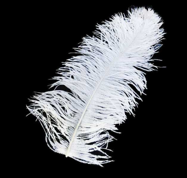 Wholesale Long White Feather For Pen 30x35 cm