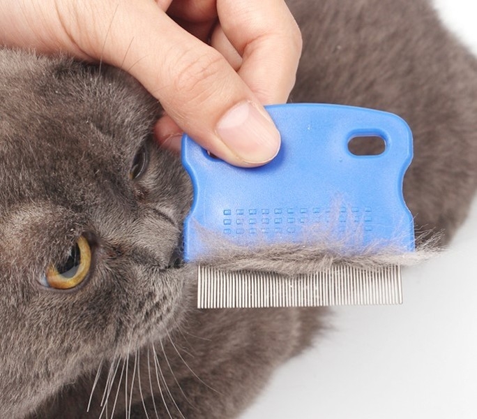 Wholesale Cat Dog Lice Comb