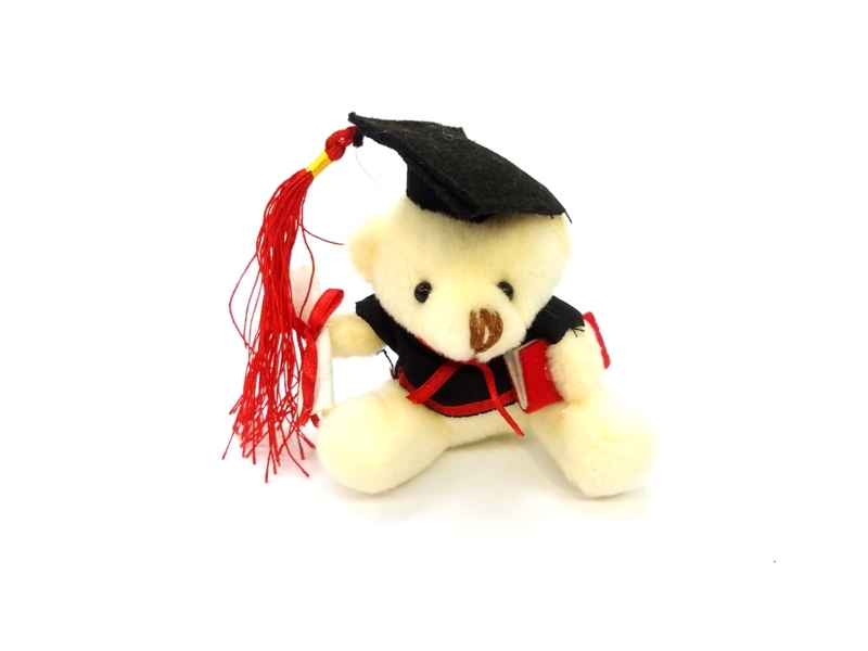 Wholesale Graduation Themed Keychain