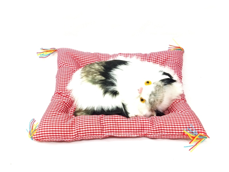 Wholesale Cushion Cat Toy with Sound