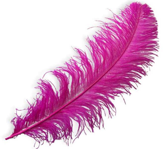 Wholesale Organization Ornaments Colorful Big Feather 1pc