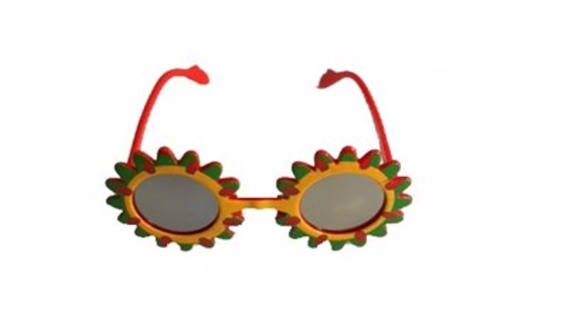 Wholesale Daisy Design Glasses