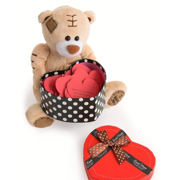 Wholesale Plush Teddy Bear 365 Words Love Quotes