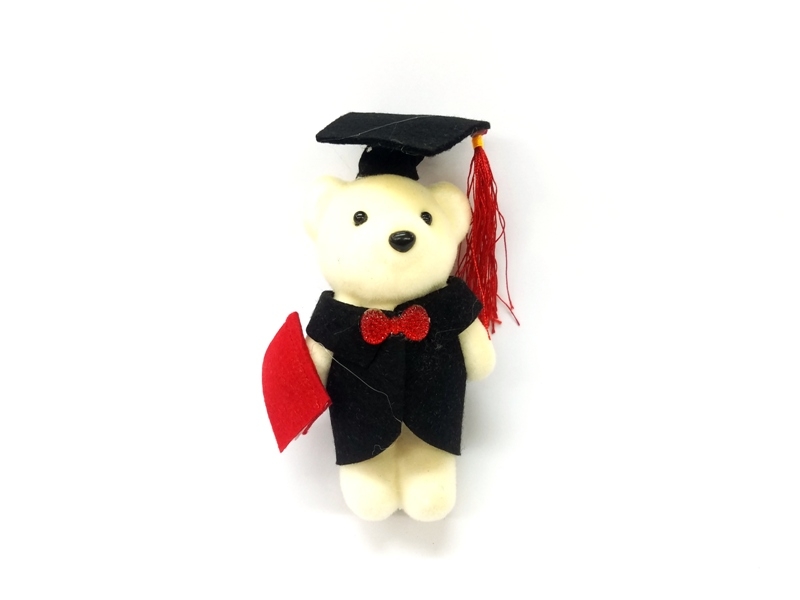 Wholesale Styrofoam Graduation Themed Bear