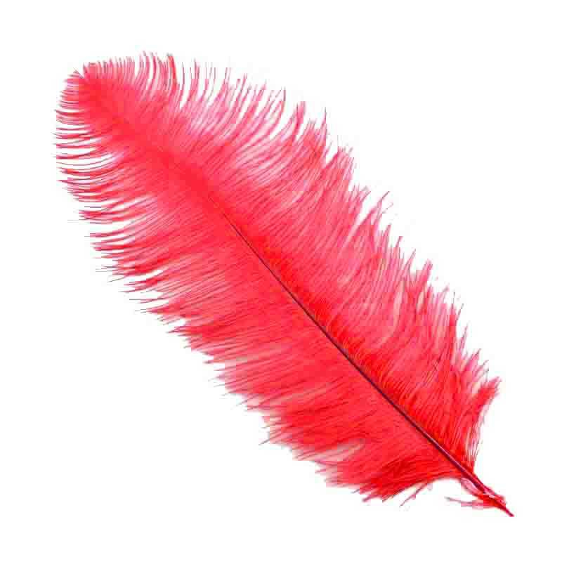 Feather (For Pen And Organization) 30*35 Cm Red Pk:1 Kl:100