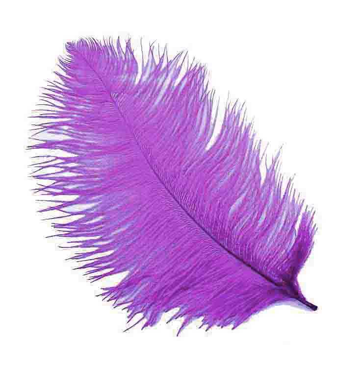 Feather (For Pen And Organization) 30*35 Cm Purple Pk:1 Kl:100