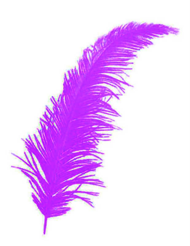 Feather Purple P100-500