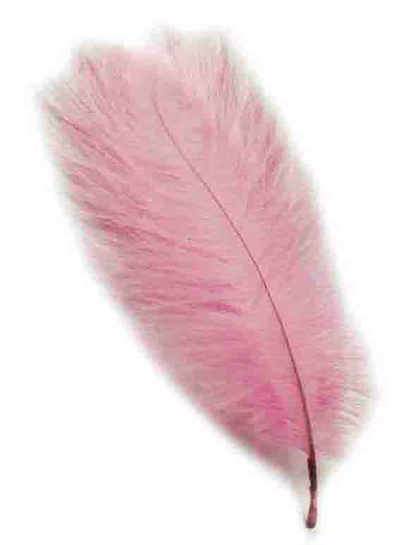 Feather (For Organization) 45*50Cm Pink Pk1 Kl:100